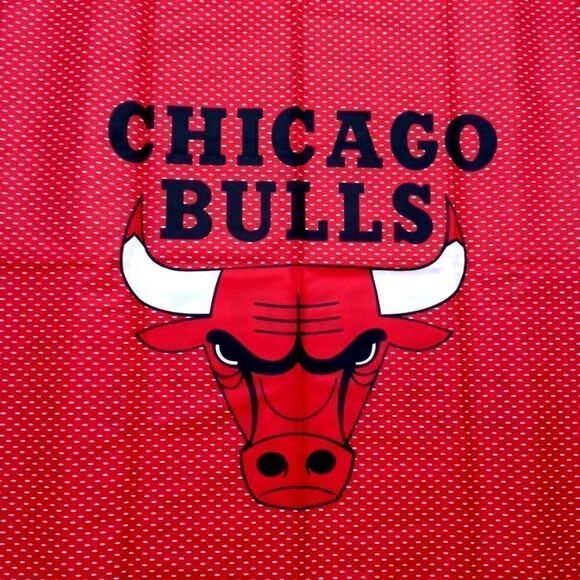 NBA Slowtide Chicago Bulls Jersey Quick-Dry Red Travel Towel - Picture 3 of 5